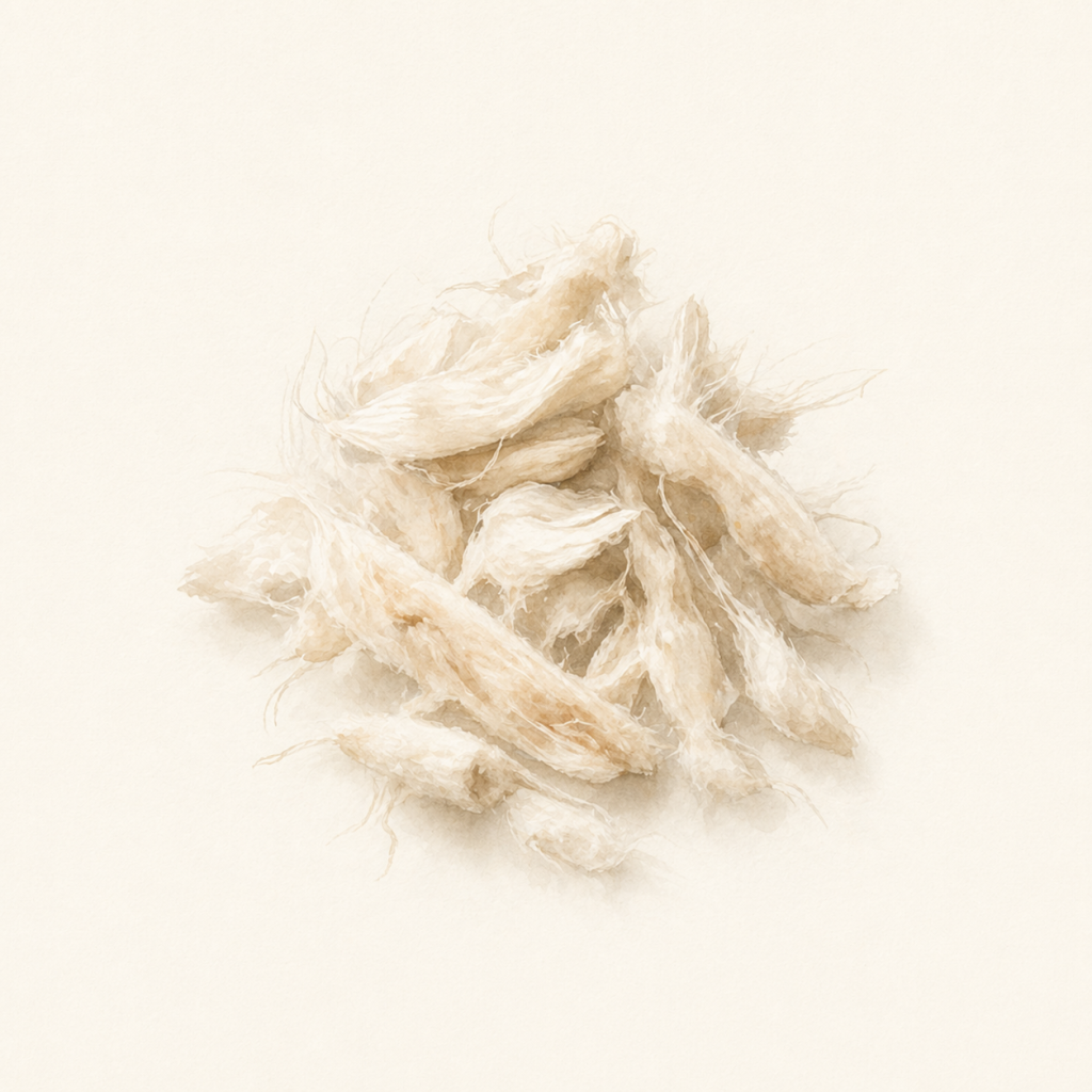머스크 향수 노트 일러스트